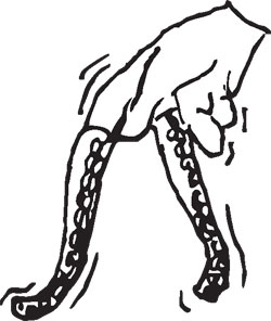 250x296 Rubber Duck Finger Feet