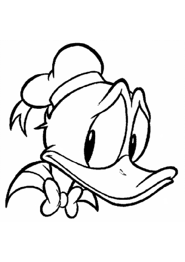 640x906 Duck