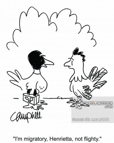 400x501 Duck Hunting Cartoons And Comics