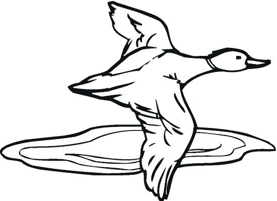 550x399 Epic Duck Hunting Coloring Pages Crayola Photo Wood Pencil And