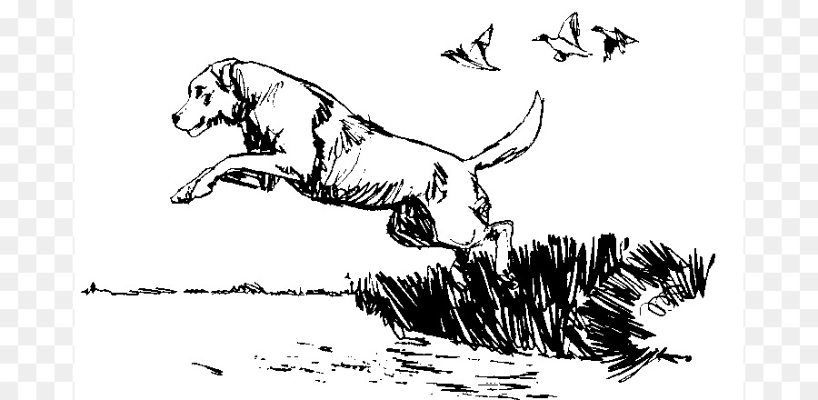 900x440 Beagle Hunting Dog Bird Clip Art