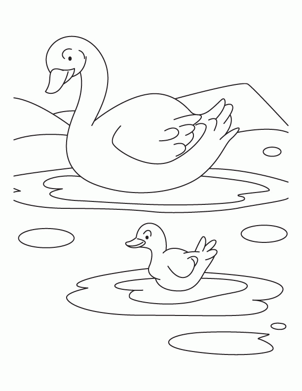 612x792 Duck Drawings For Kids 486599