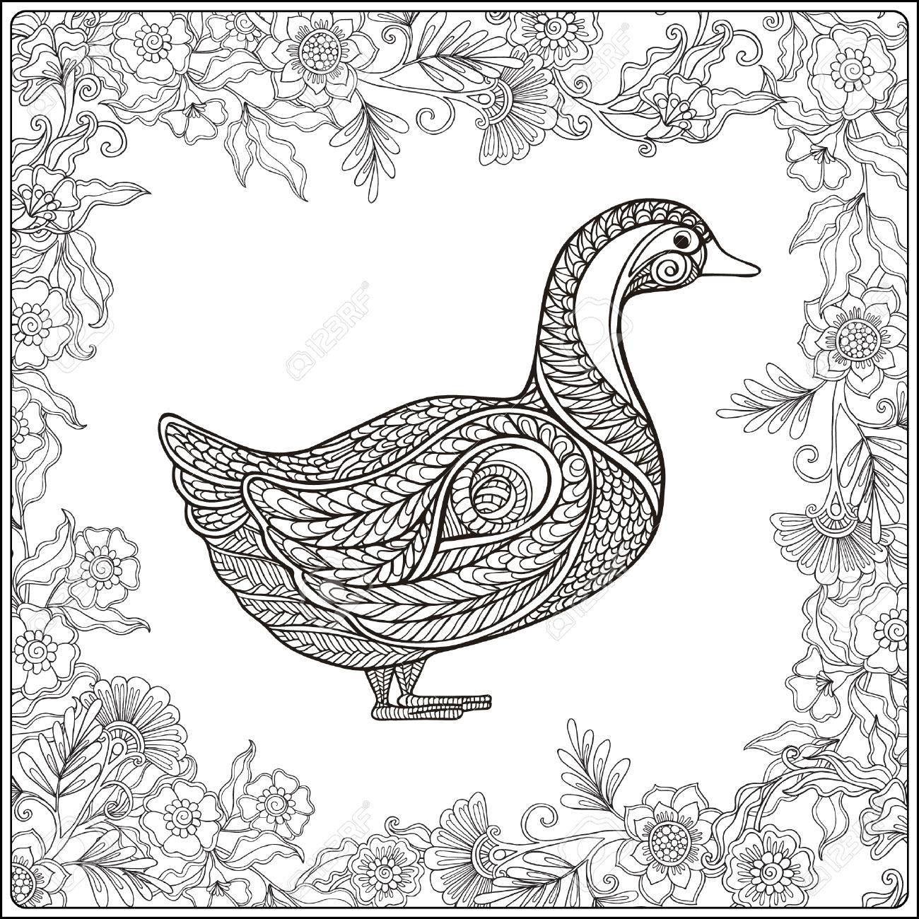 1300x1300 Duck In Floral Frame. Coloring Book For Adult And Older Children