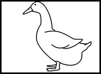 200x147 How To Draw Ducks Drawing Tutorials Amp Drawing Amp How To Draw