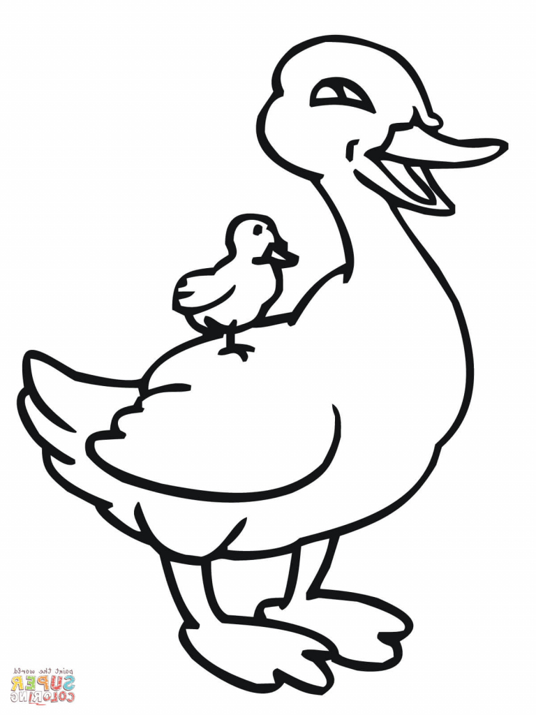 768x1024 How To Draw A Cartoon Duck With Ducklings Video Easy Drawing
