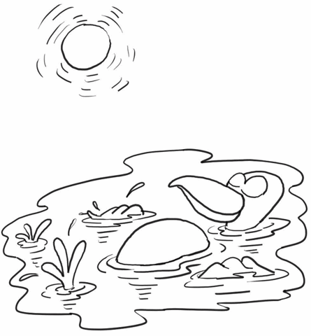 445x480 Duck Swim In Pond Under The Sun Coloring Page Free Printable