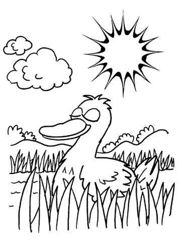 362x480 Duck In A Pond Coloring Page Free Printable Coloring Pages