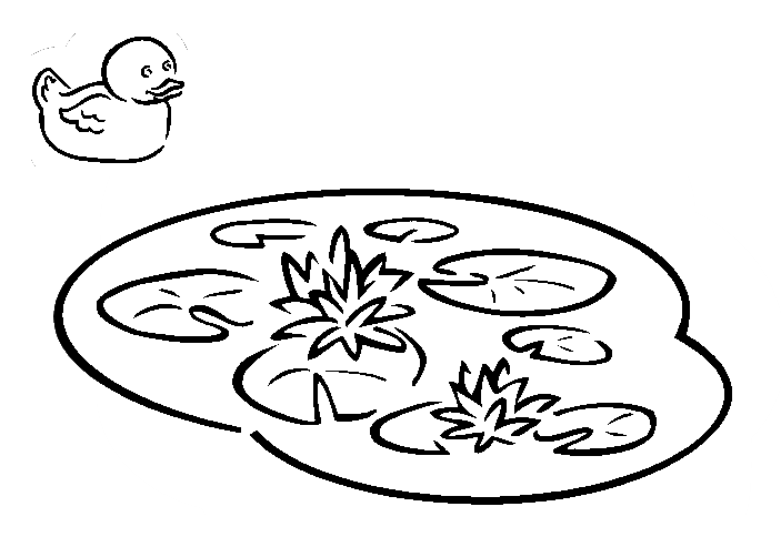 703x493 Duck In The Pond