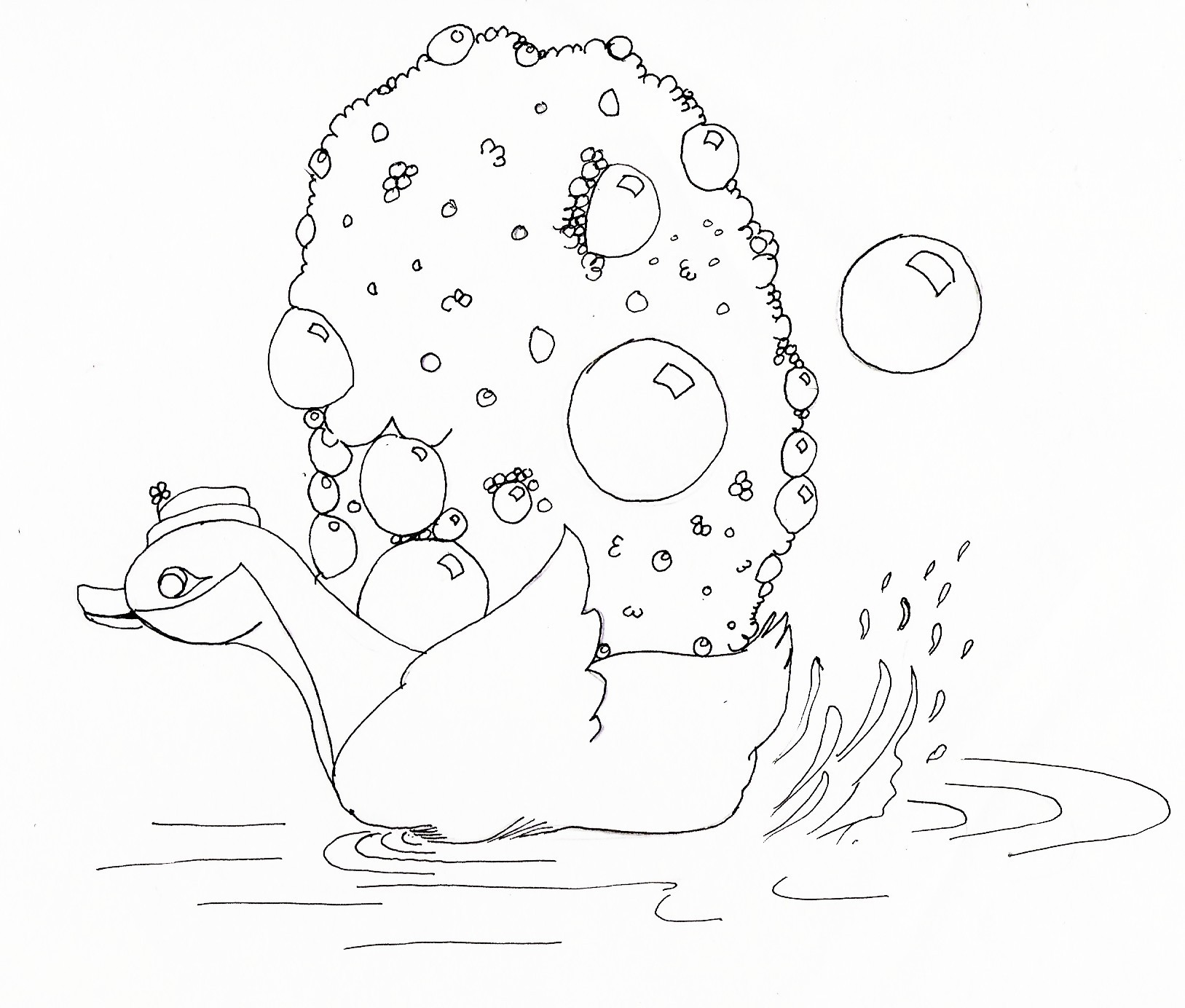 1627x1384 Sketch The Pond