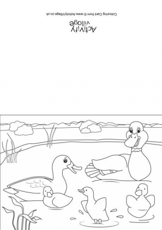 320x452 Spring Pond Colouring Page