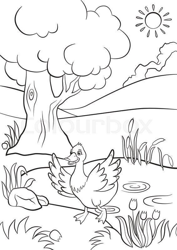 566x800 Coloring Pages. Cute Duck Runs From The Pond. There Are Tree