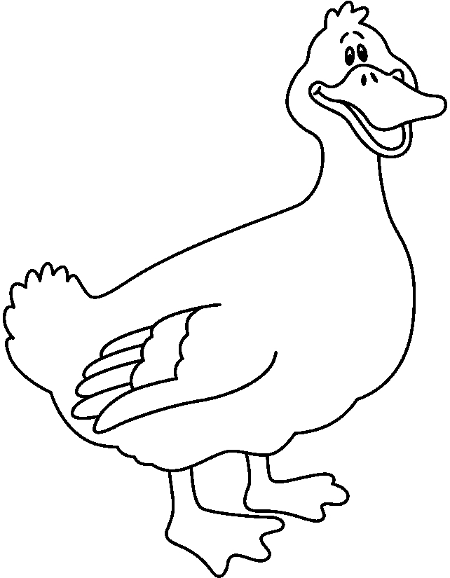 642x825 Duck Clipart Line Drawing 3491798