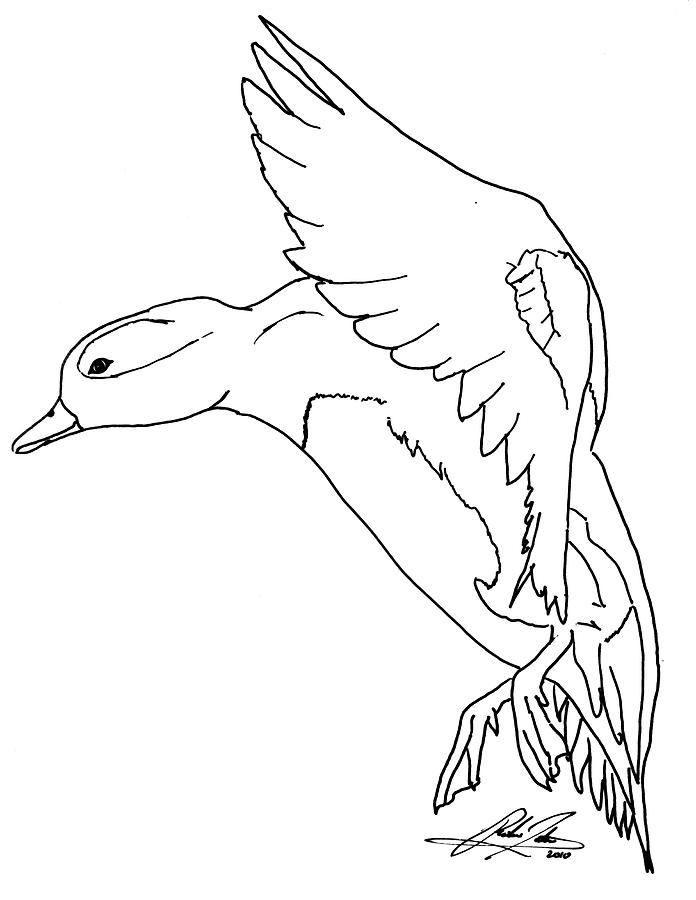 696x900 Outline Of A Duck Group
