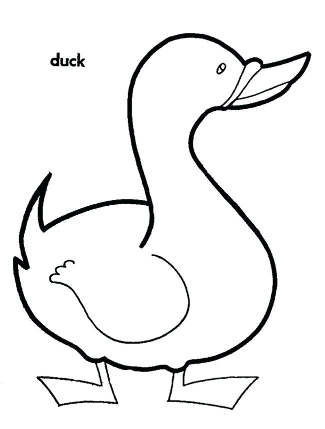 650x859 Duck Outline Drawings Best Collection Coloring Pages