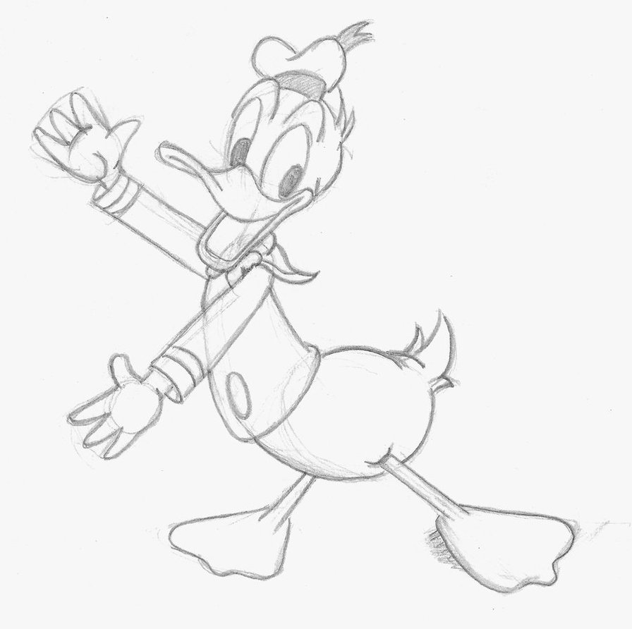 896x892 Donald Duck Sketch By Magicalmerlingirl