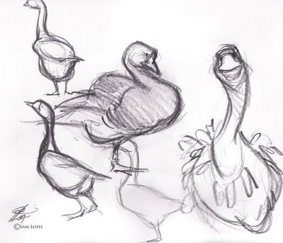 400x343 9 Best Vegetable And Animal Drawing Images On Animal