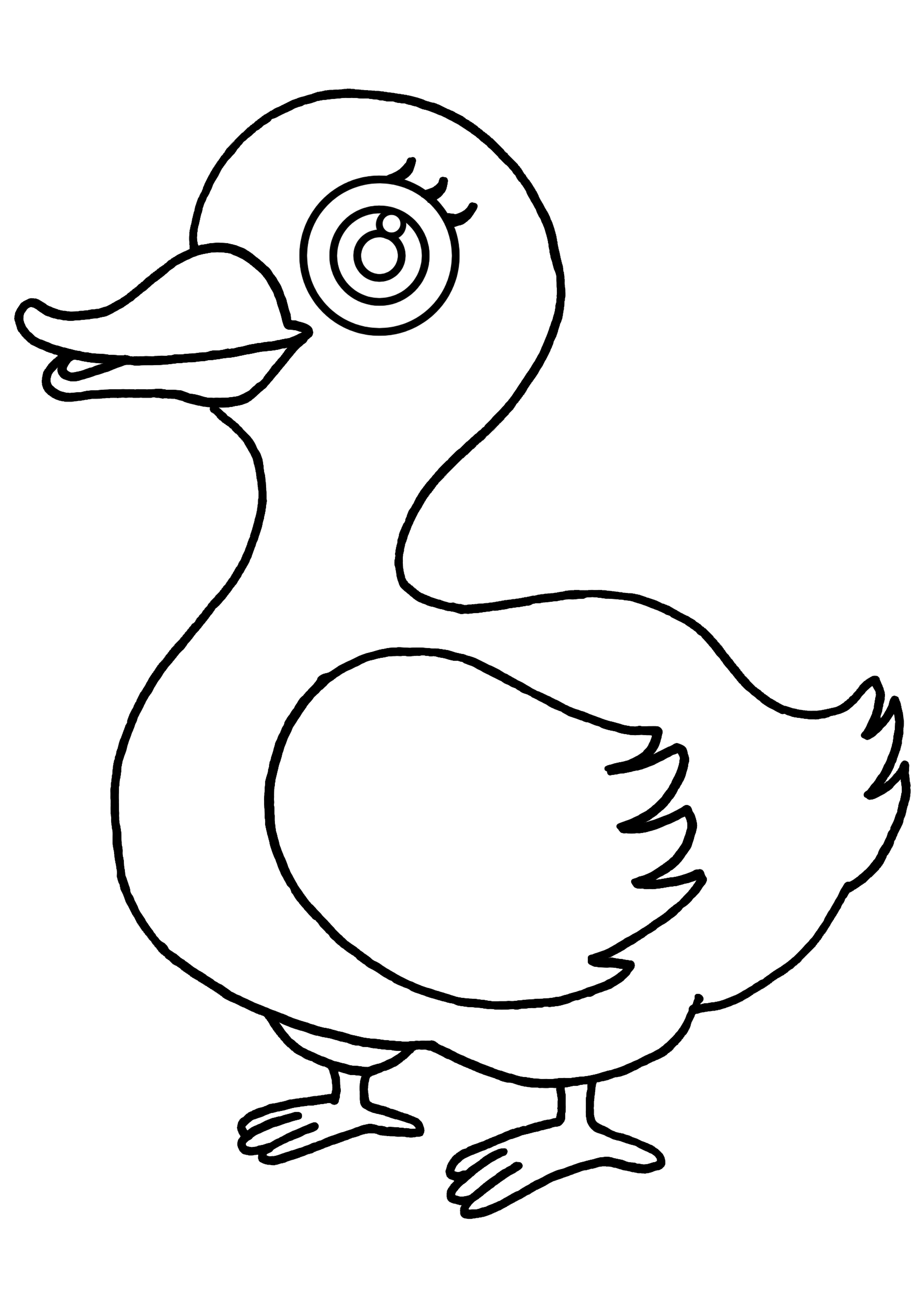 2480x3508 Duck