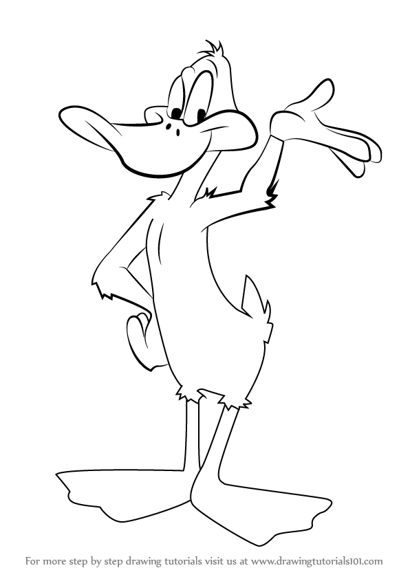 596x842 Learn How To Draw Daffy Duck From Looney Tunes (Looney Tunes) Step