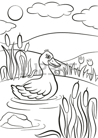 318x450 Coloring Pages. Little Cute Duck Swims On The Pond. It`s Smiling