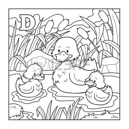 450x450 Duck Pond Stock Photos. Royalty Free Business Images