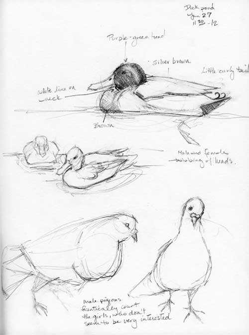 500x671 Duckpond Mockingbirds