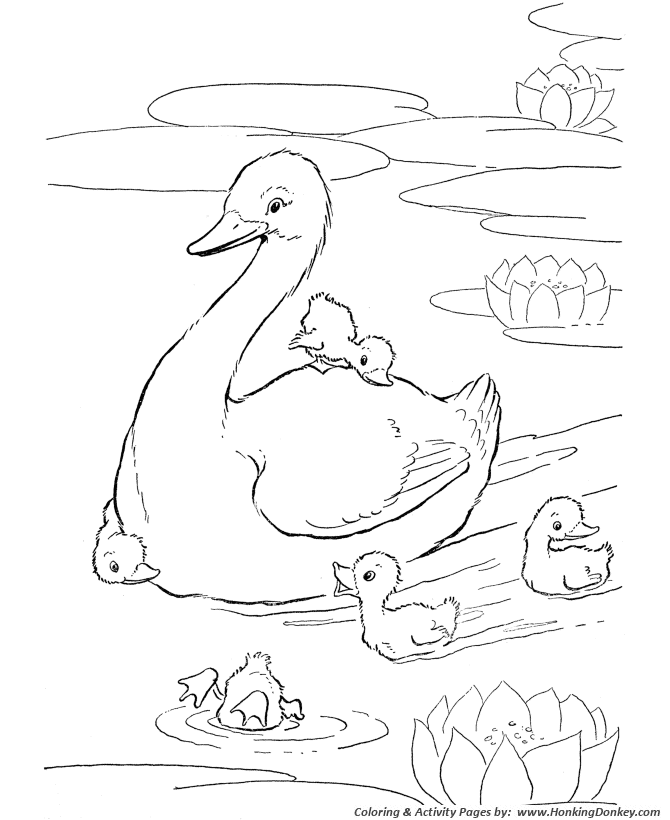 670x820 Farm Animal Coloring Pages Printable Ducks In The Pond Coloring