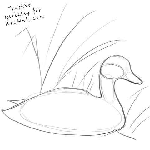 480x481 Pin By Fergus Sings The Blues On Colour White Blanc