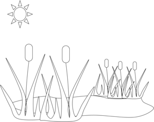 300x238 Pond Free Images