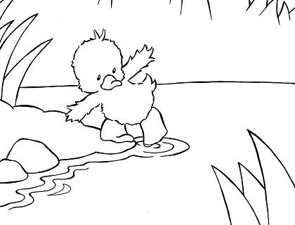 420x320 Duckling Coloring Pages Little Duck Coloring Page Best Of Me