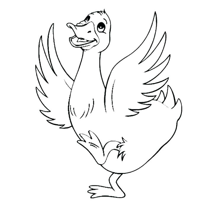 720x699 Coloring Pages Ducks Baby Duck Coloring Page Coloring Pages Ducks