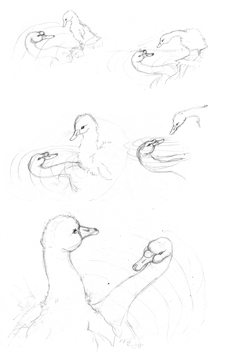 800x1167 Amy Holliday Illustration Concept Sketches For The Ugly Duckling