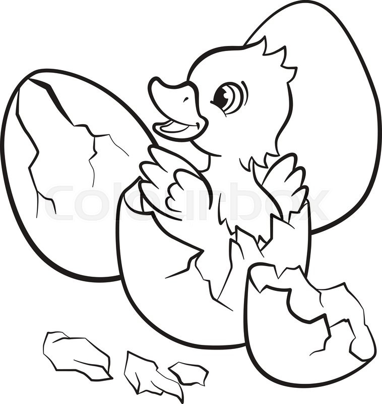 758x800 Coloring Pages. Little Cute Duckling Hatched From The Egg. It`s