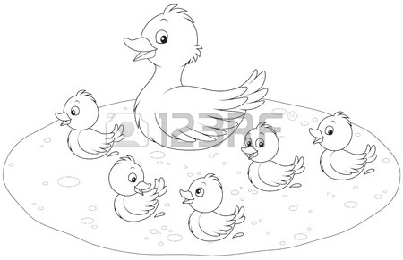 450x291 Duck And Ducklings Royalty Free Cliparts, Vectors, And Stock