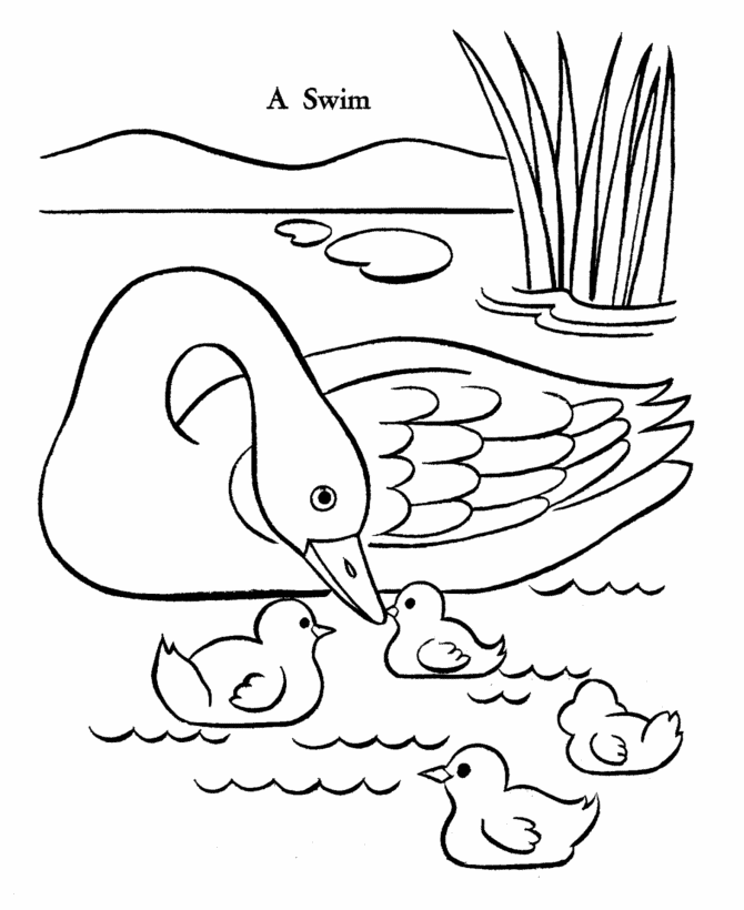 670x820 Coloring Pages Of Ducks
