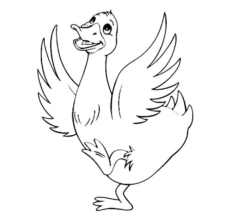 720x699 Coloring Pages Of Ducks Duck Color Page Coloring Pictures Of Ducks