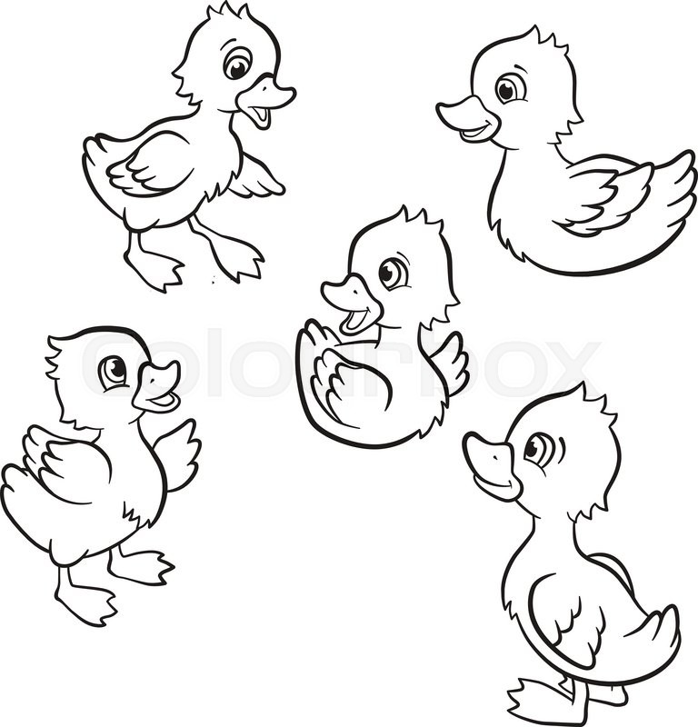 768x800 Coloring Pages. Five Little Cute Ducklings Swim On The Lake