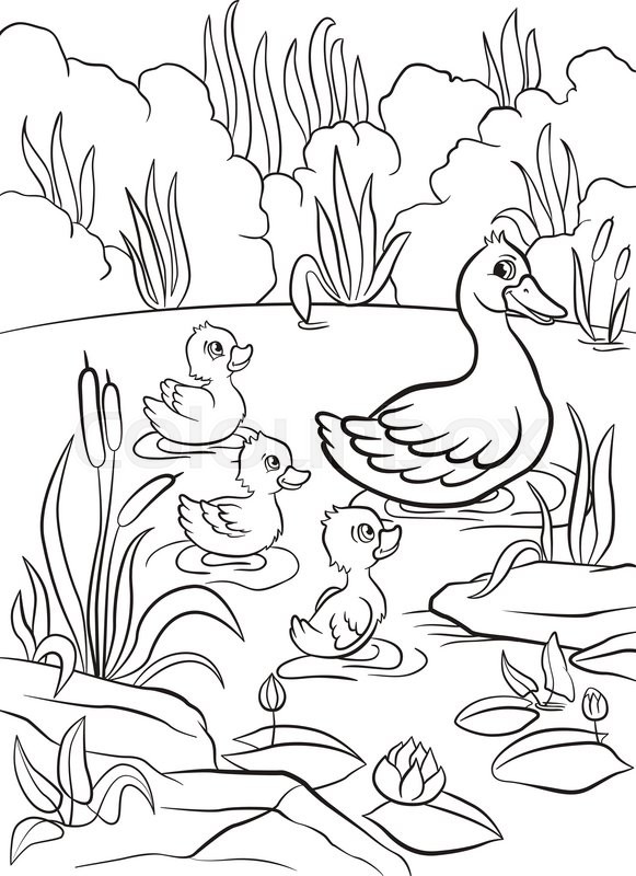 581x800 Coloring Pages. Kind Duck And Free Little Cute Ducklings Swim