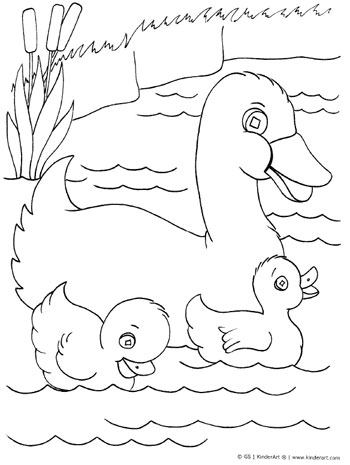 350x465 Duck With Ducklings Coloring Page Kinderart