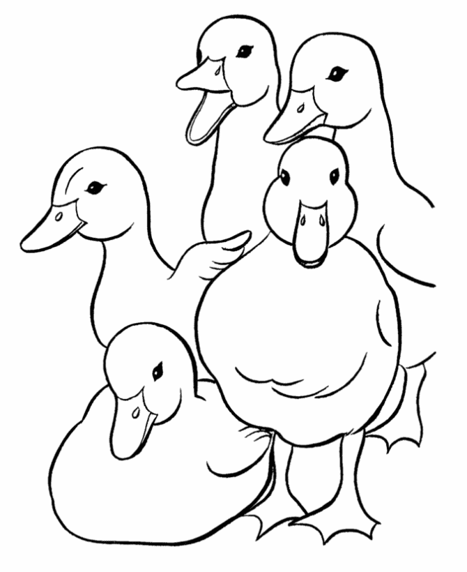 670x820 Free Printable Duck Coloring Pages For Kids