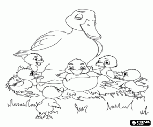 300x250 The Ugly Duckling Coloring Pages Printable Games