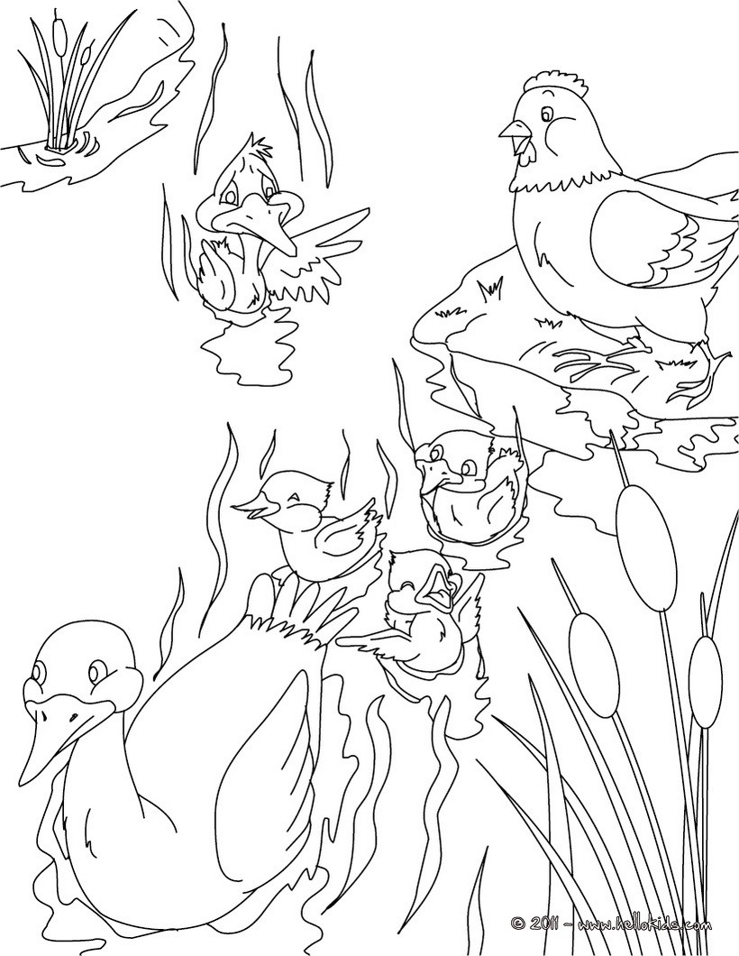 820x1060 The Ugly Duckling Tale Coloring Pages