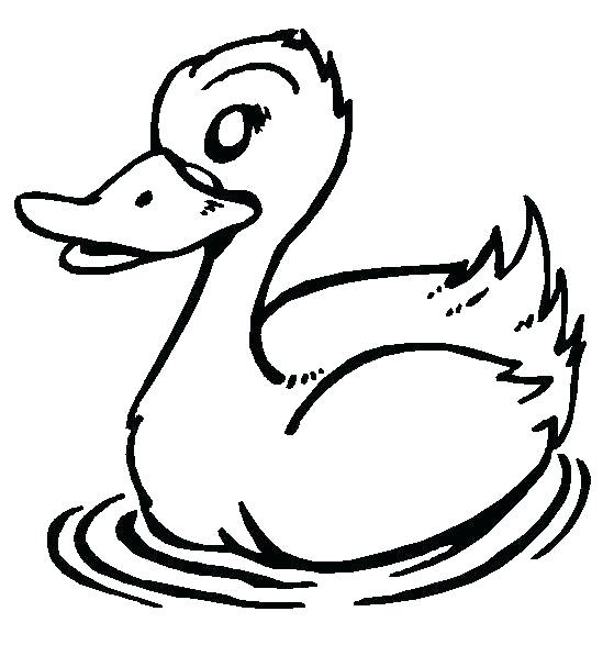 559x597 Coloring Pages Ducks