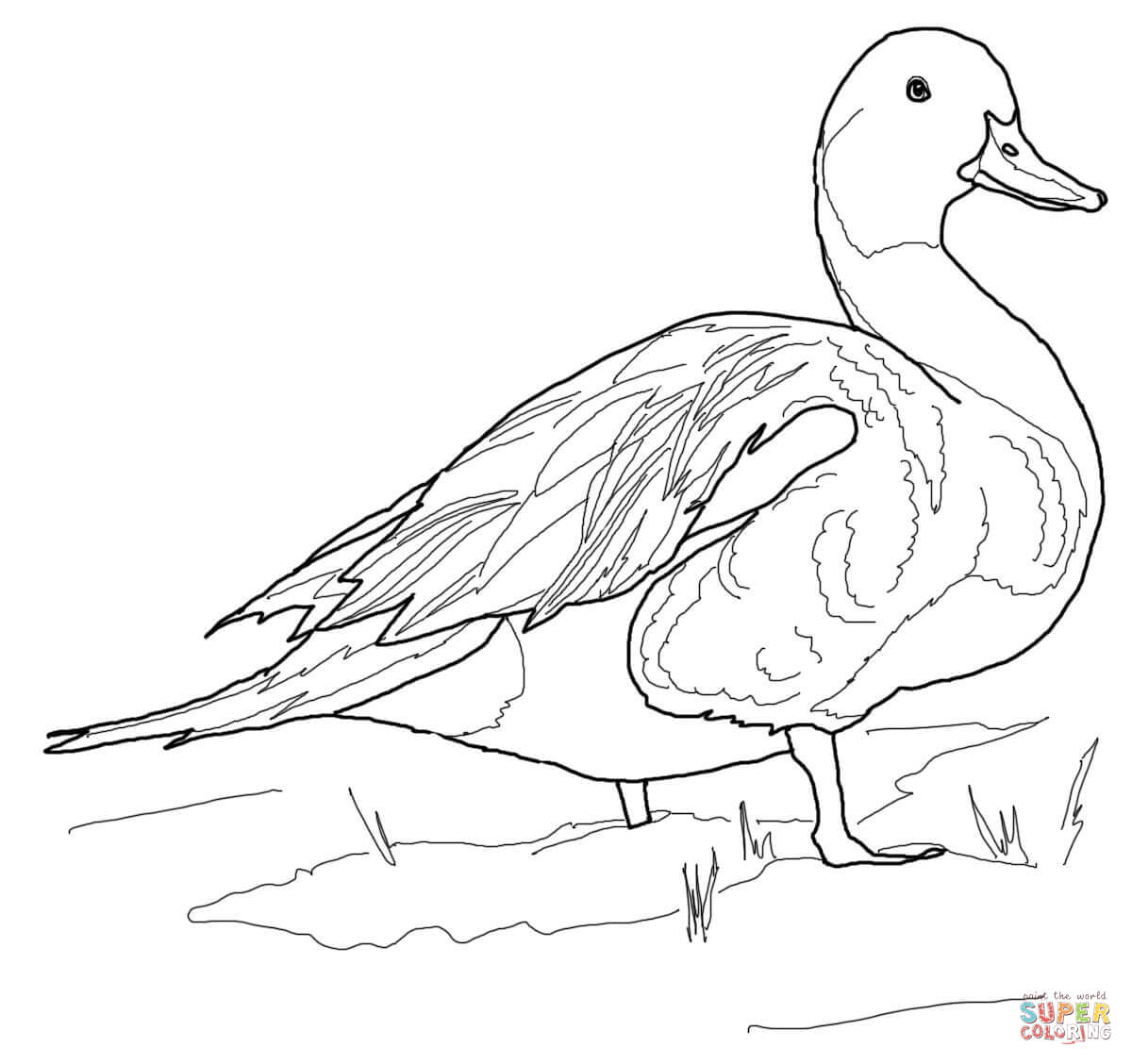1200x1128 Coloring Pages Of Ducks To Sweet Draw Photo