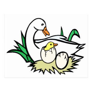 324x324 Duck Drawing Postcards Zazzle