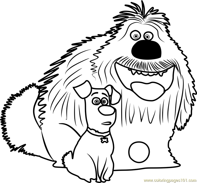 800x742 Duke And Max Coloring Page