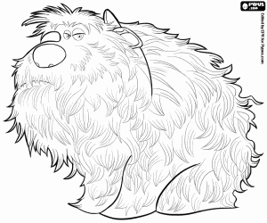 300x250 Duke, A Large And Hairy Dog Coloring Page Printable Game