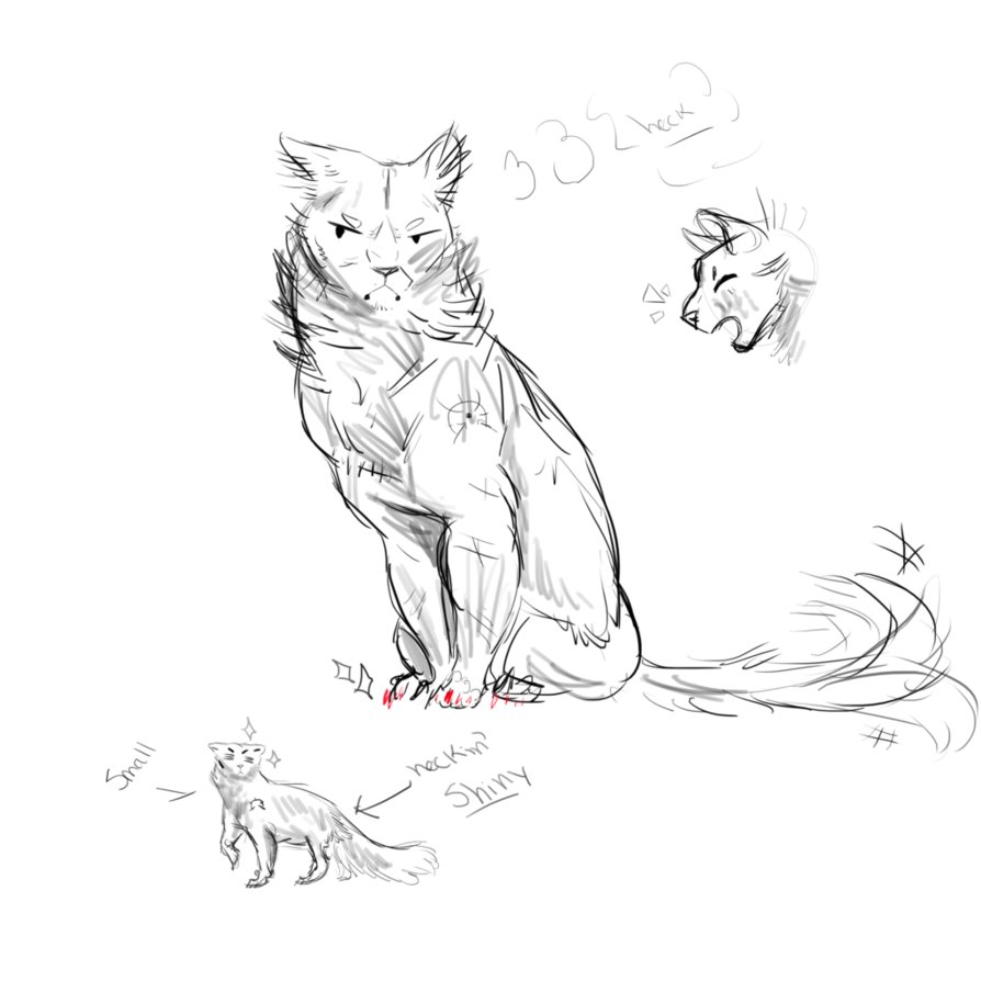 894x894 Dumb Blackwater Doodles By Shibainudruid