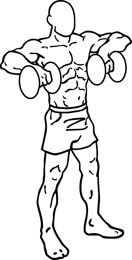 459x900 Dumbbell Raises