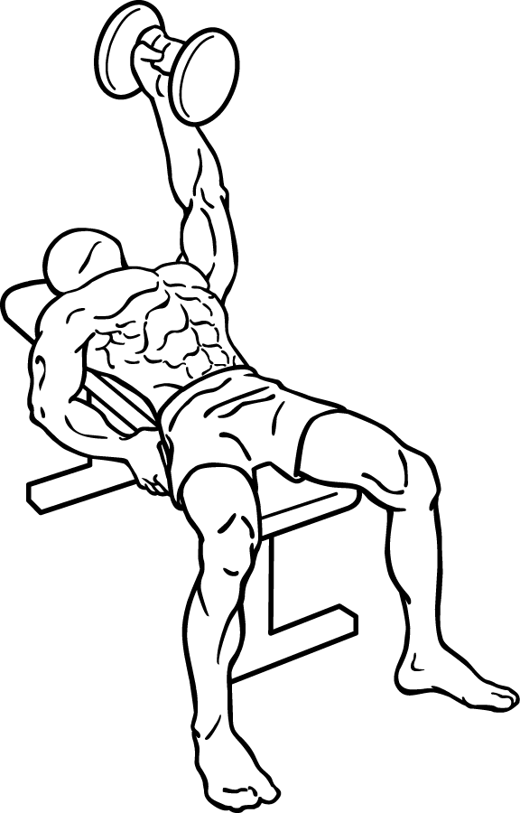 576x900 Dumbbell Fly