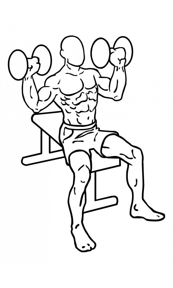 578x960 Shoulder Press, Dumbbells